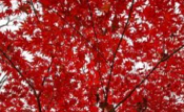 �紵�����������㶯�����������ķ�