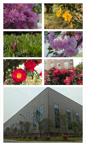 ��������com���� 