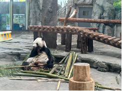 �������� - ��ҳ