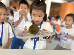 �������� - ��ҳ